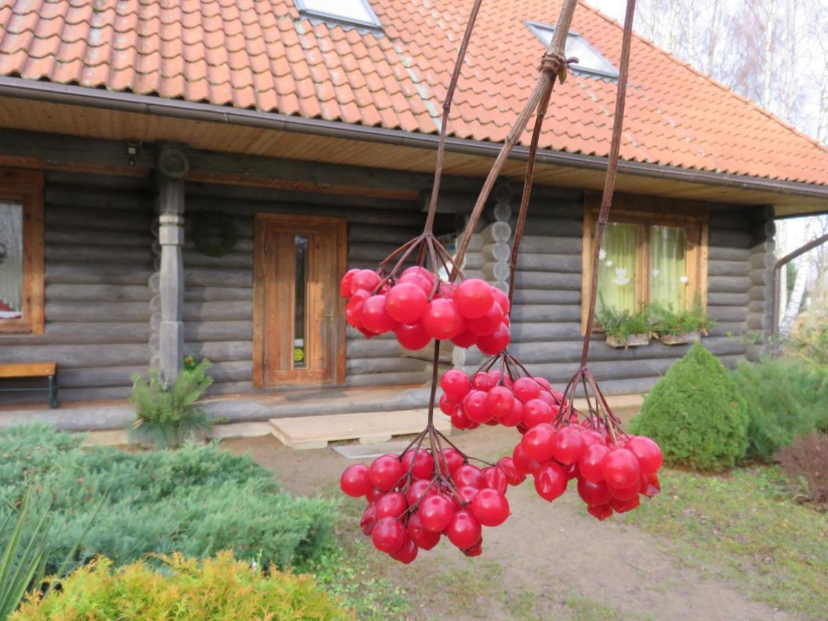 Guest House Leveri Valgalciems Экстерьер фото