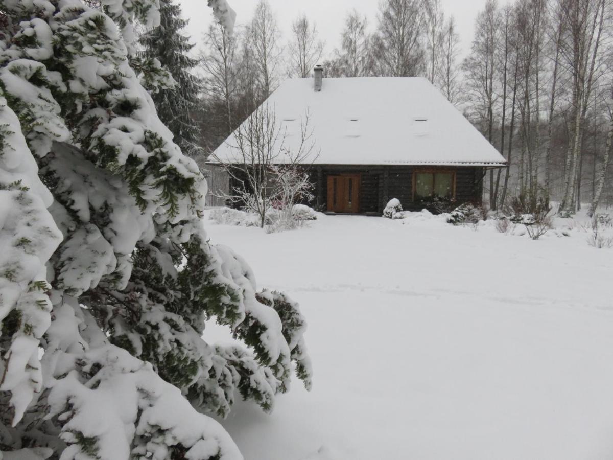 Guest House Leveri Valgalciems Экстерьер фото